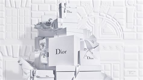 dior france website.